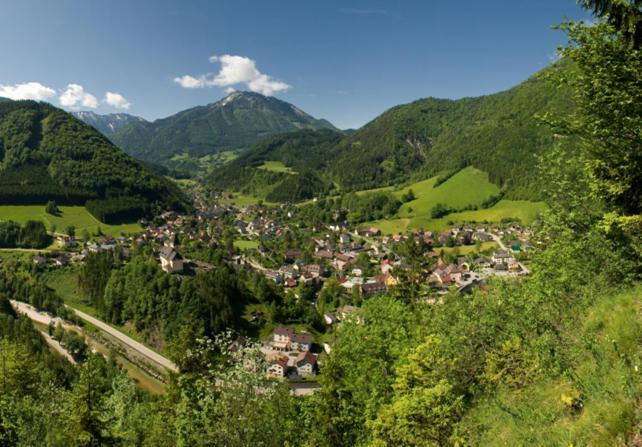 Ferienhof Schelchen Hollenstein an der Ybbs المظهر الخارجي الصورة